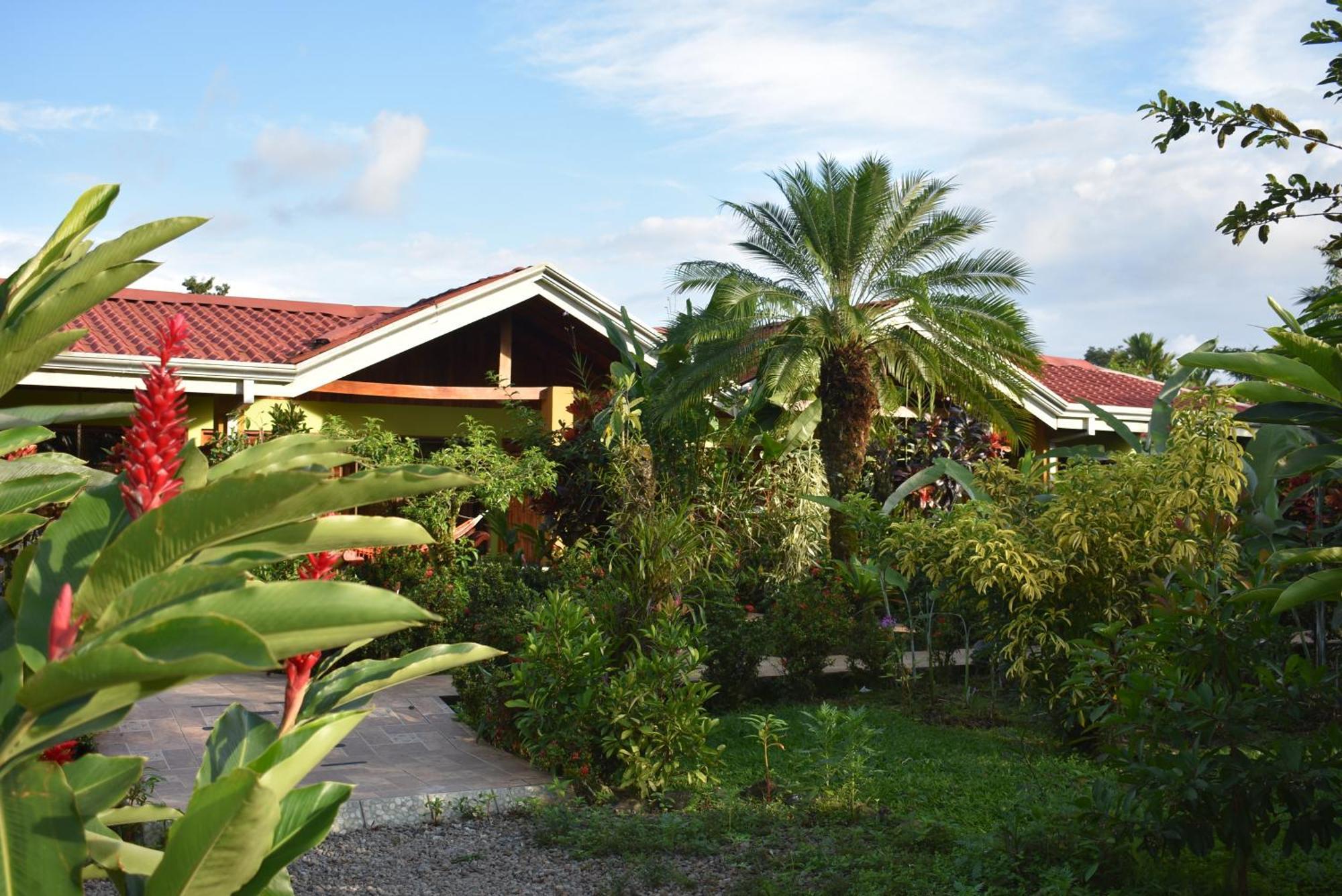 Hotel Roca Negra Del Arenal La Fortuna Δωμάτιο φωτογραφία