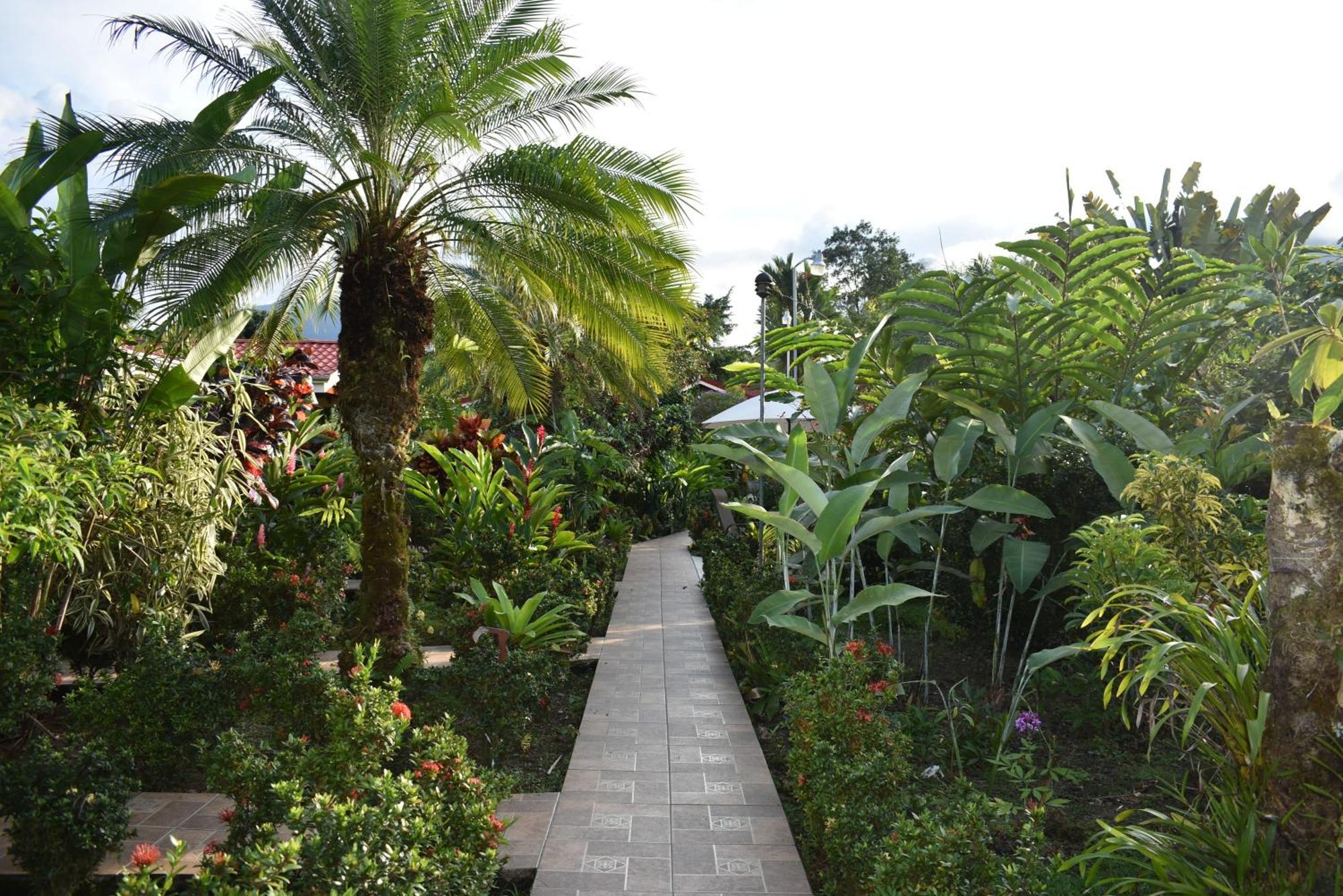 Hotel Roca Negra Del Arenal La Fortuna Δωμάτιο φωτογραφία