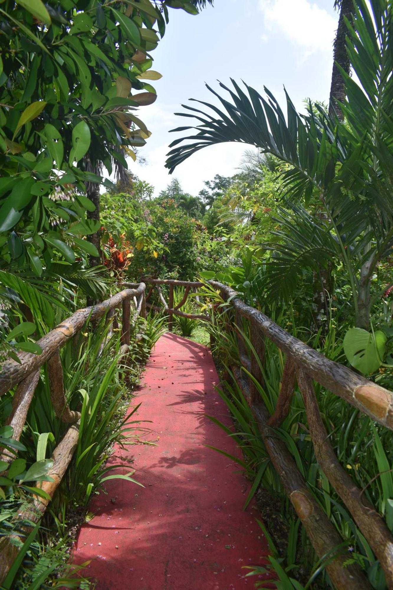 Hotel Roca Negra Del Arenal La Fortuna Εξωτερικό φωτογραφία