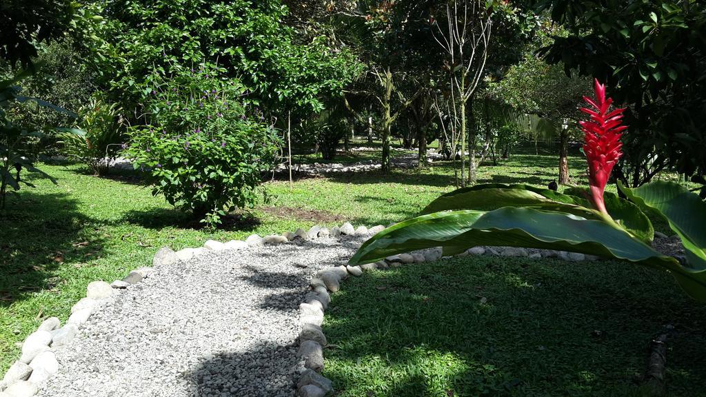 Hotel Roca Negra Del Arenal La Fortuna Εξωτερικό φωτογραφία