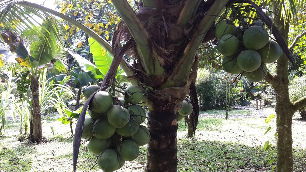 Hotel Roca Negra Del Arenal La Fortuna Εξωτερικό φωτογραφία