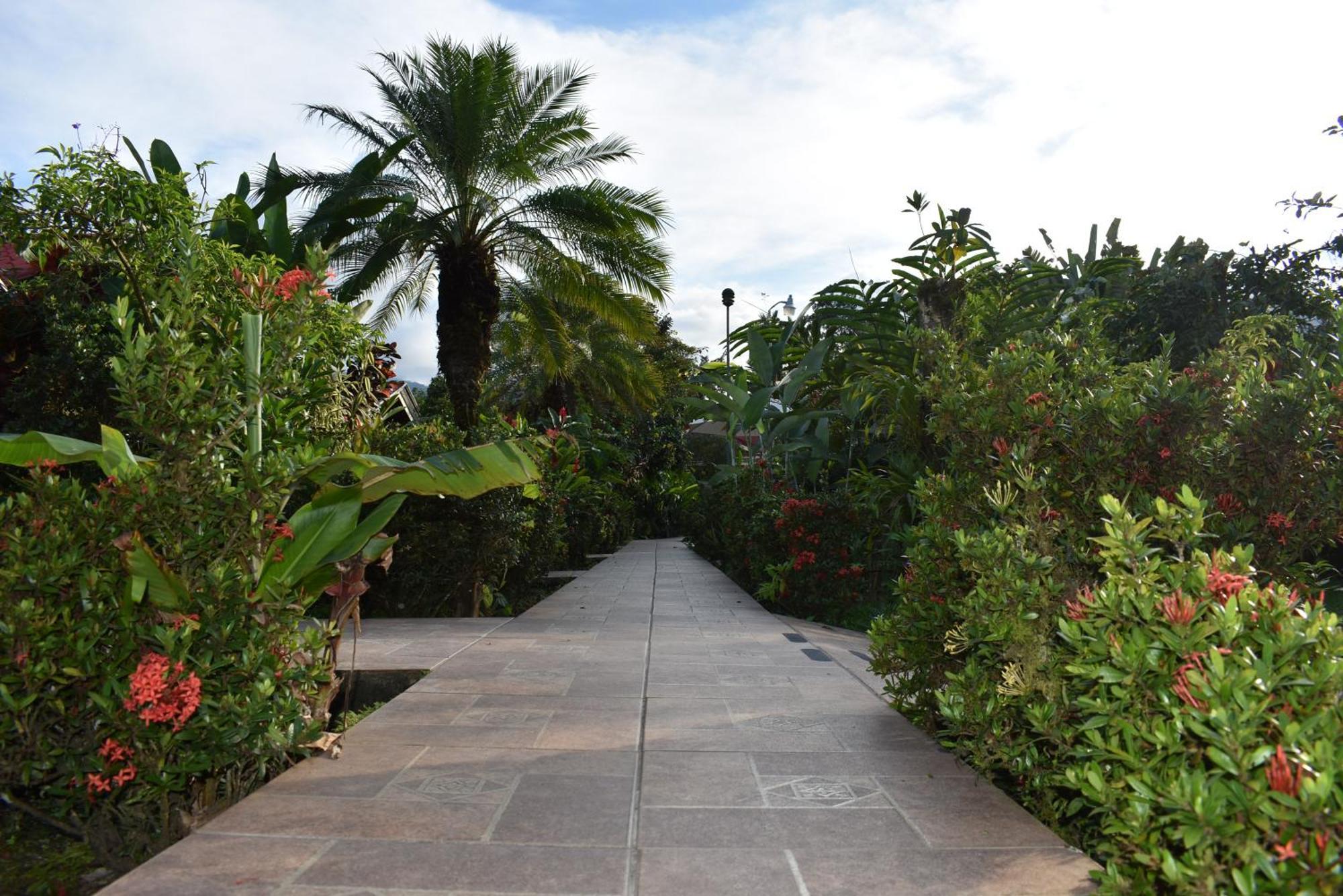 Hotel Roca Negra Del Arenal La Fortuna Εξωτερικό φωτογραφία