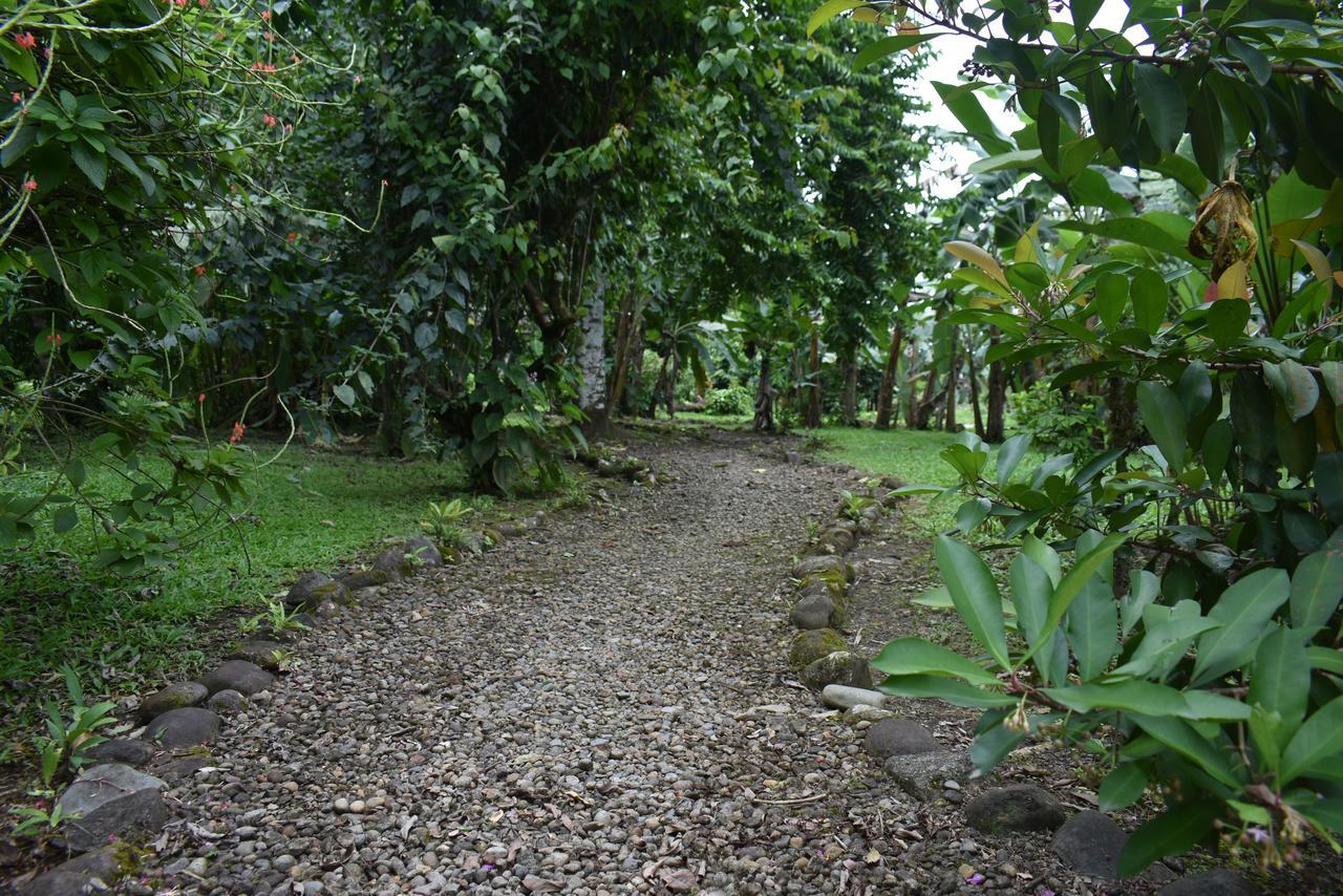 Hotel Roca Negra Del Arenal La Fortuna Εξωτερικό φωτογραφία